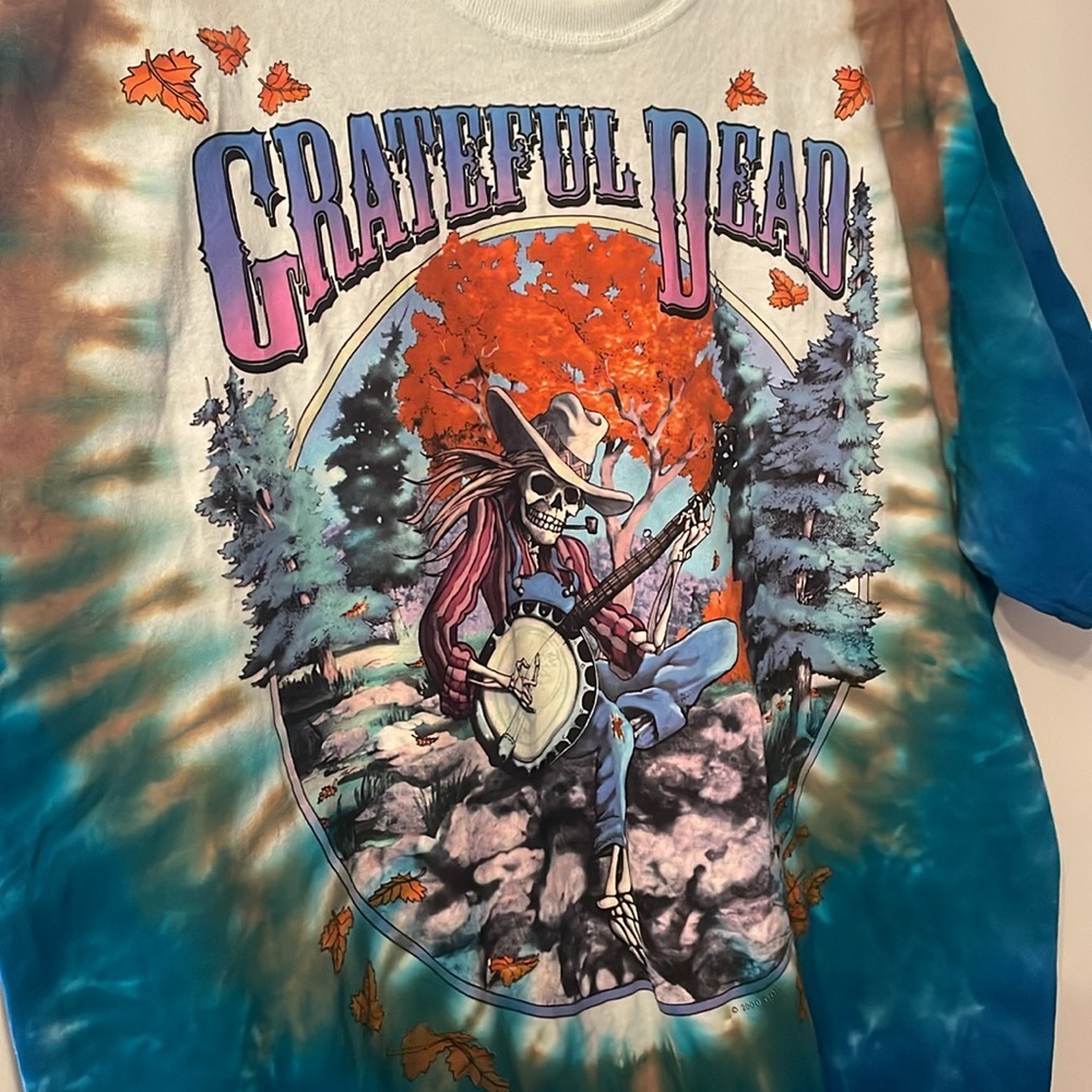 Vintage 2000 Grateful Dead T-Shirt Reprint Of 1994 Fall Tour Size XL 100% Cotton - Picture 3 of 5